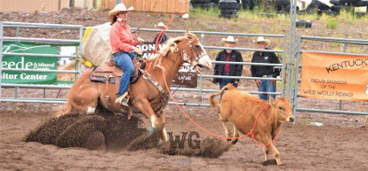 chute out rodeo wildgrass