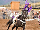 chute out rodeo wildgrass