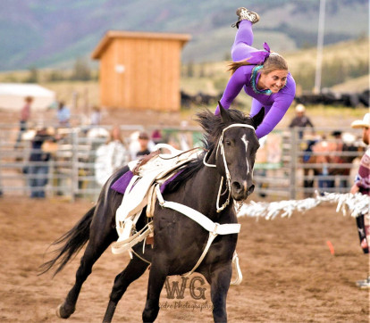 chute out rodeo wildgrass